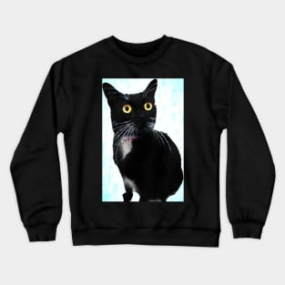 Yellow Eyed Tuxedo Cat Portrait Crewneck Sweatshirt